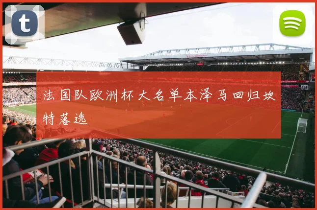 法国队欧洲杯大名单本泽马回归坎特落选