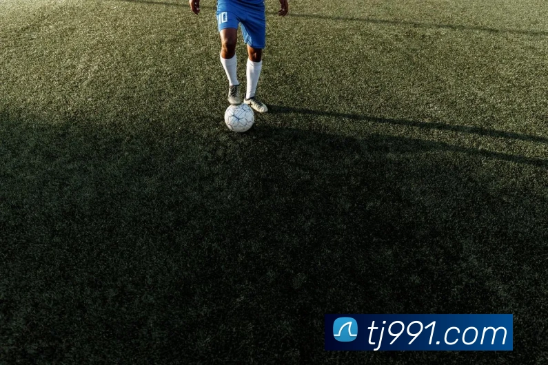 kaiyun官方网站入口平台生态图